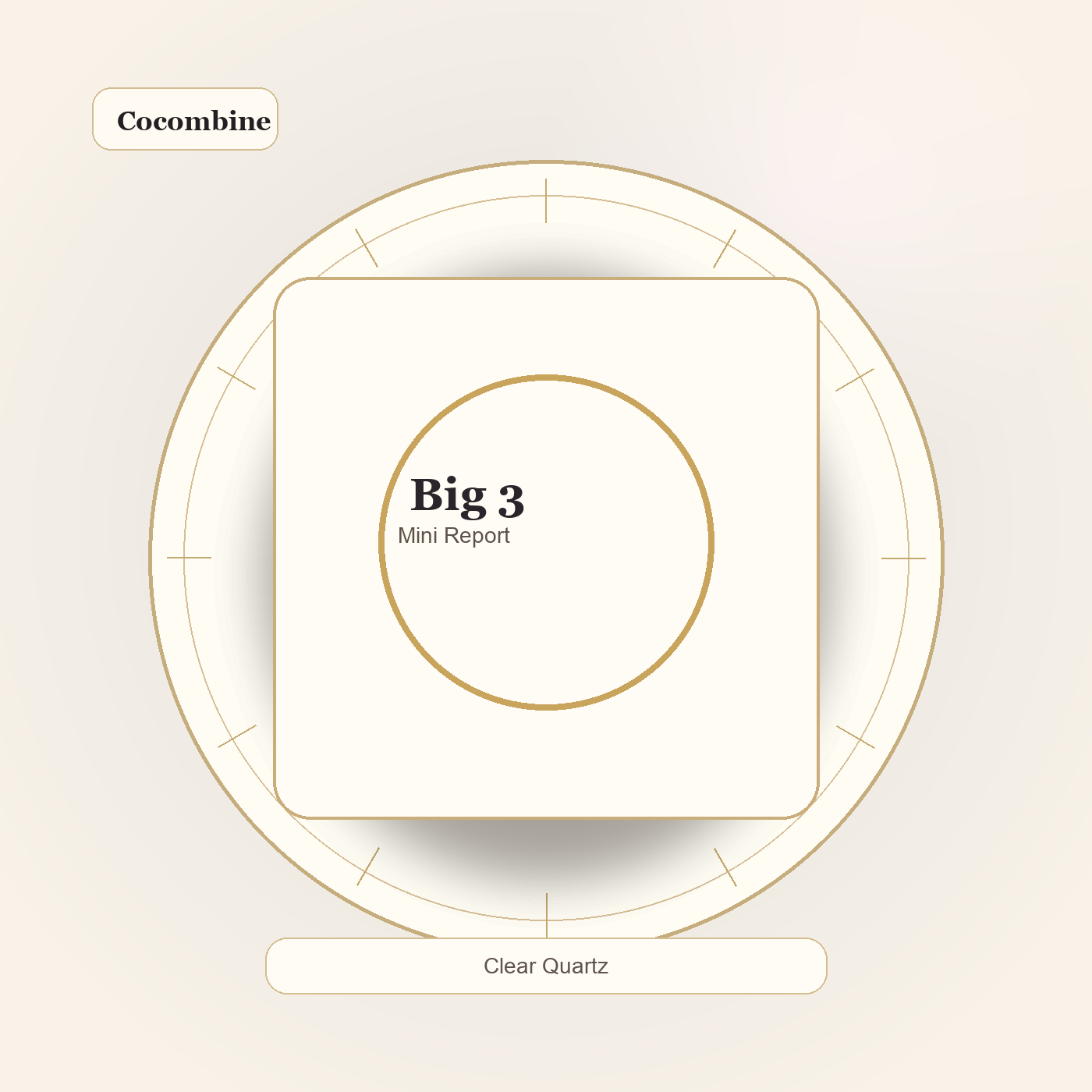 Digital Mini Birth Chart Report by Cocombine