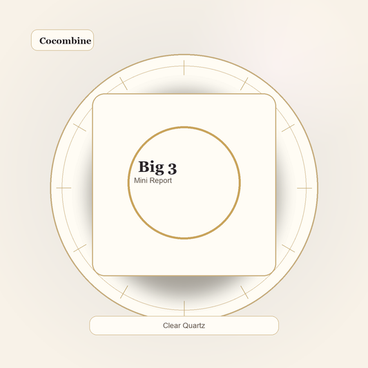Digital Mini Birth Chart Report by Cocombine